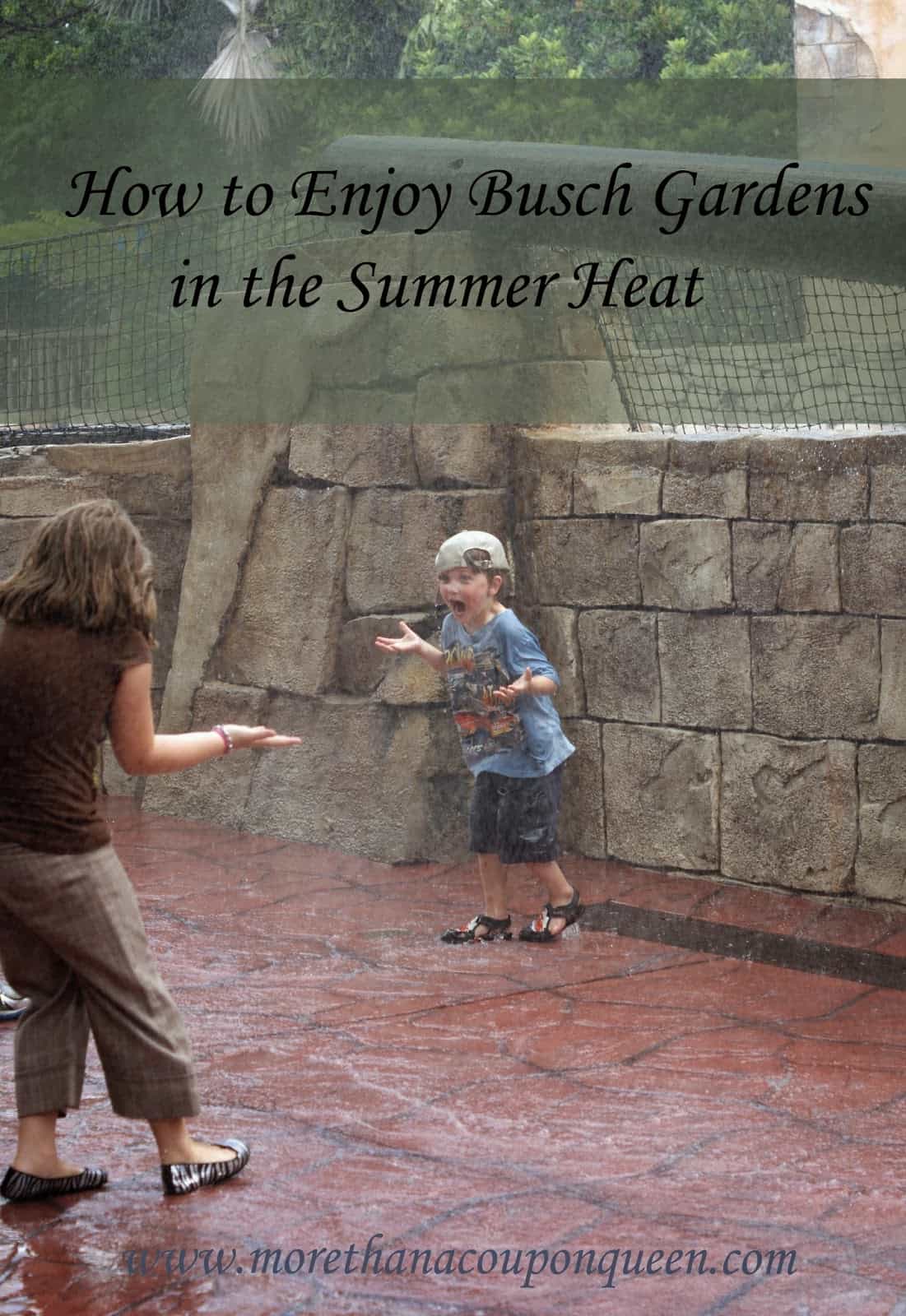 How to Enjoy Busch Gardens in the Summer Heat