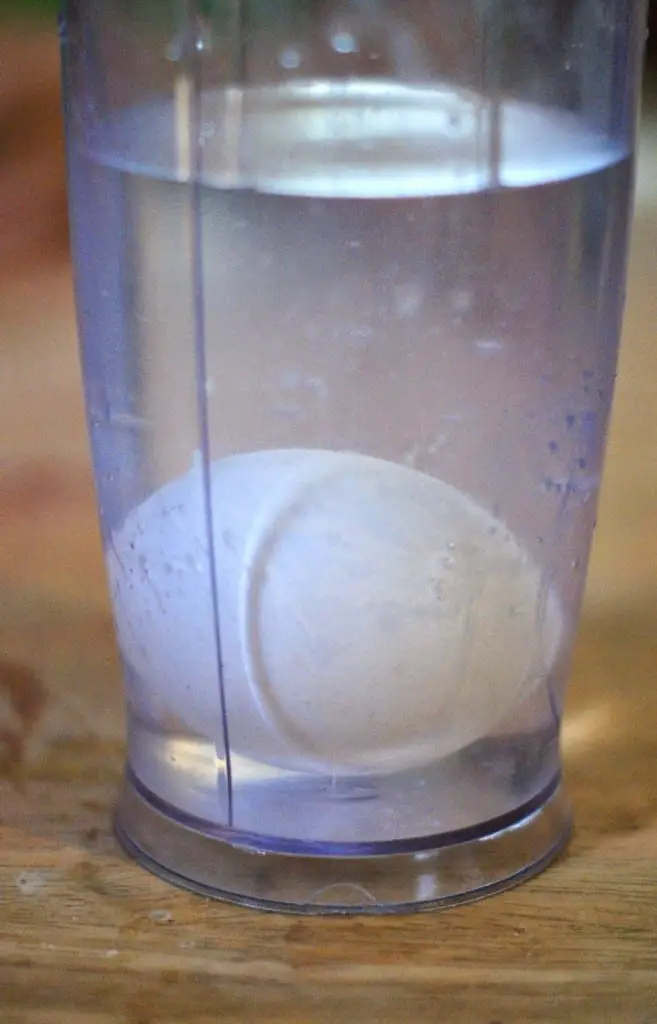 egg in cup with water added