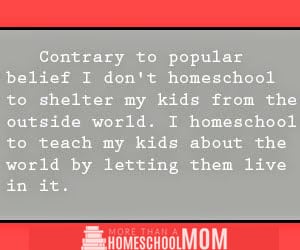 10 homeschoolers wish they could say - contrary to popular belief I don't homechool to shelter my kids - #homeschool #education #edchaat #homeschooling 