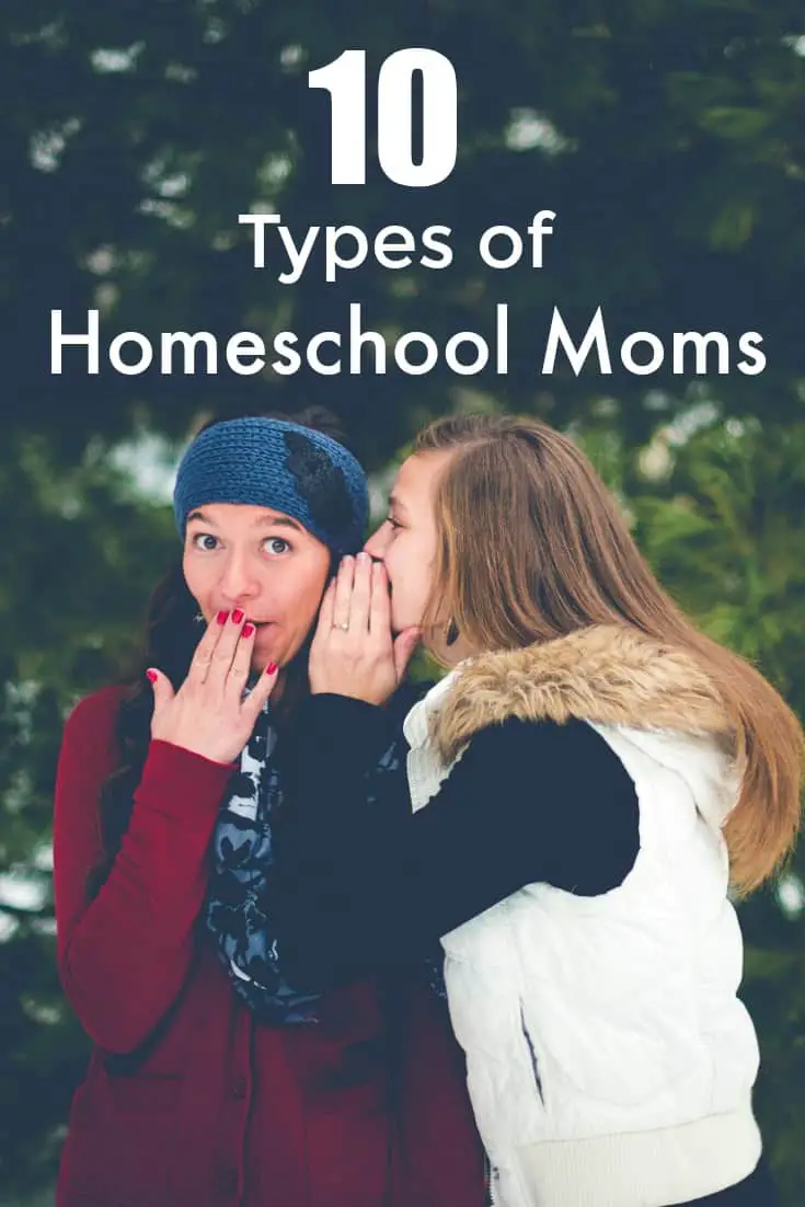 10 Types of Homeschool Moms - Which one are you? - #homeschool #mom #homeschooling 