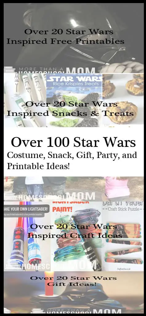 Over 100 Star Wars Costume, Snack, Gift, Party and Printable Ideas