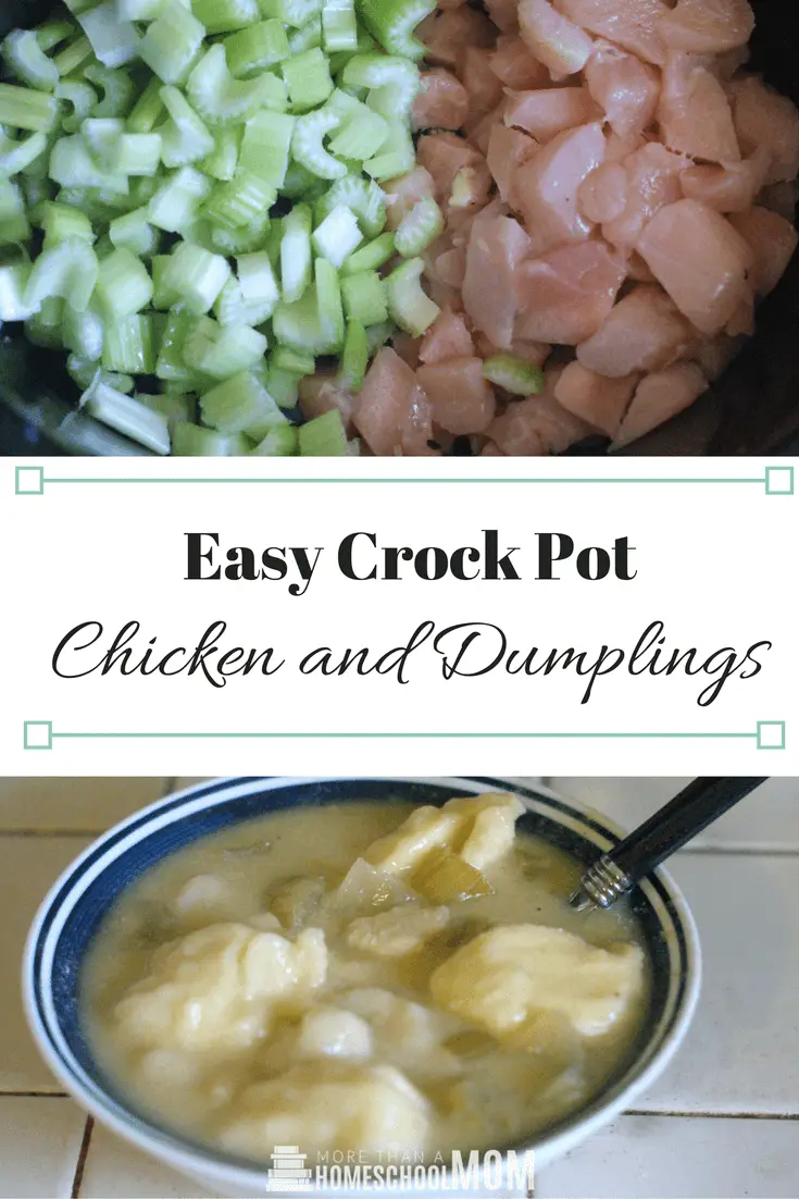 Easy Crock Pot Chicken and Dumplings
