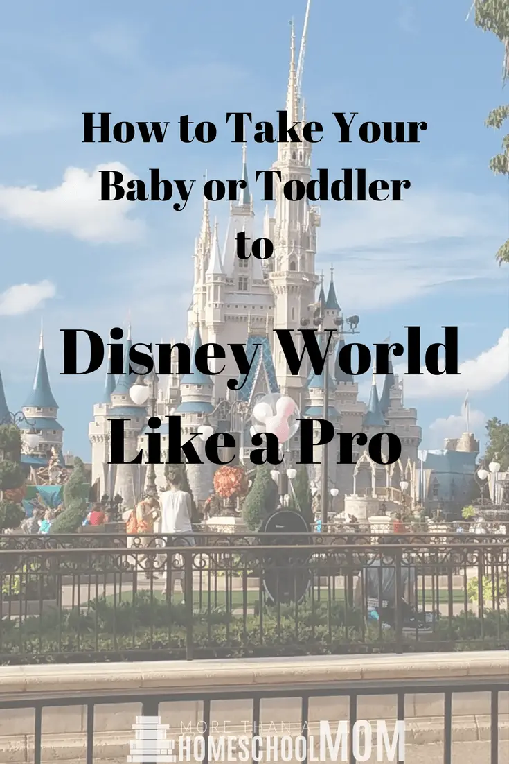 uppababy vista disney world