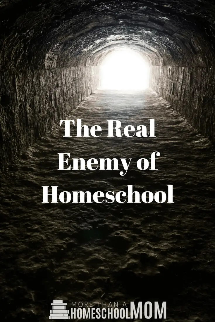 The Real Enemy of Homeschool