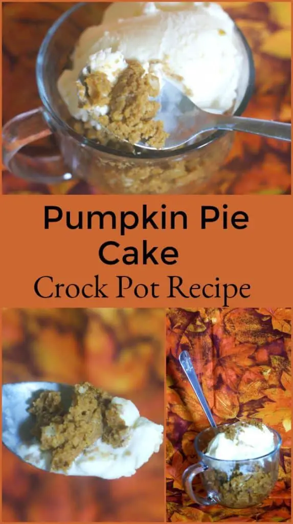 Pumpkin Pie Cake Slow Cooker Recipe