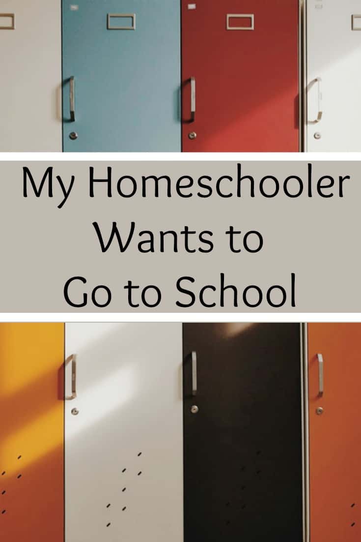 My Homeschooler Wants to Go to School