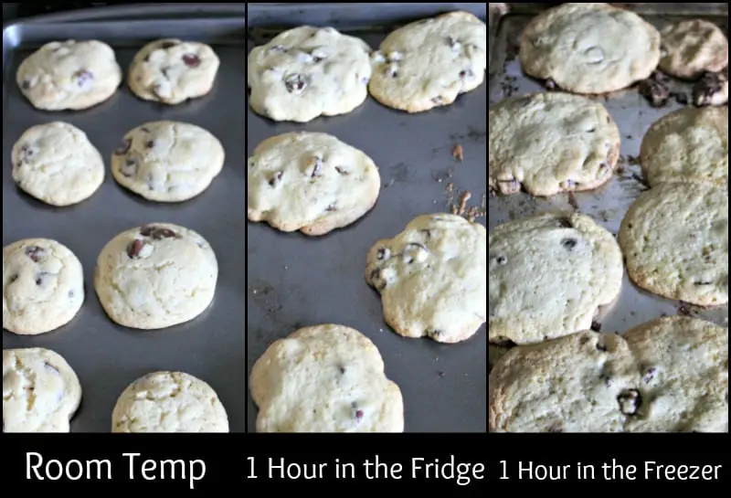Cookie Science Experiment