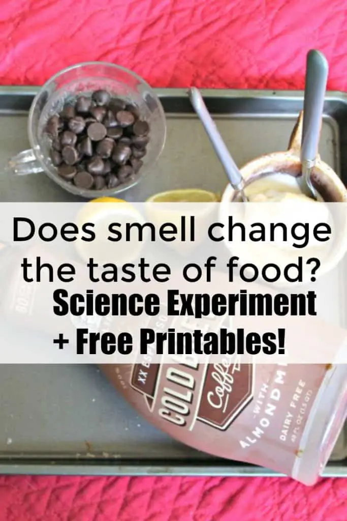 Smell Science Experiment | Does Smell Change the taste of food? - #stem #science #education