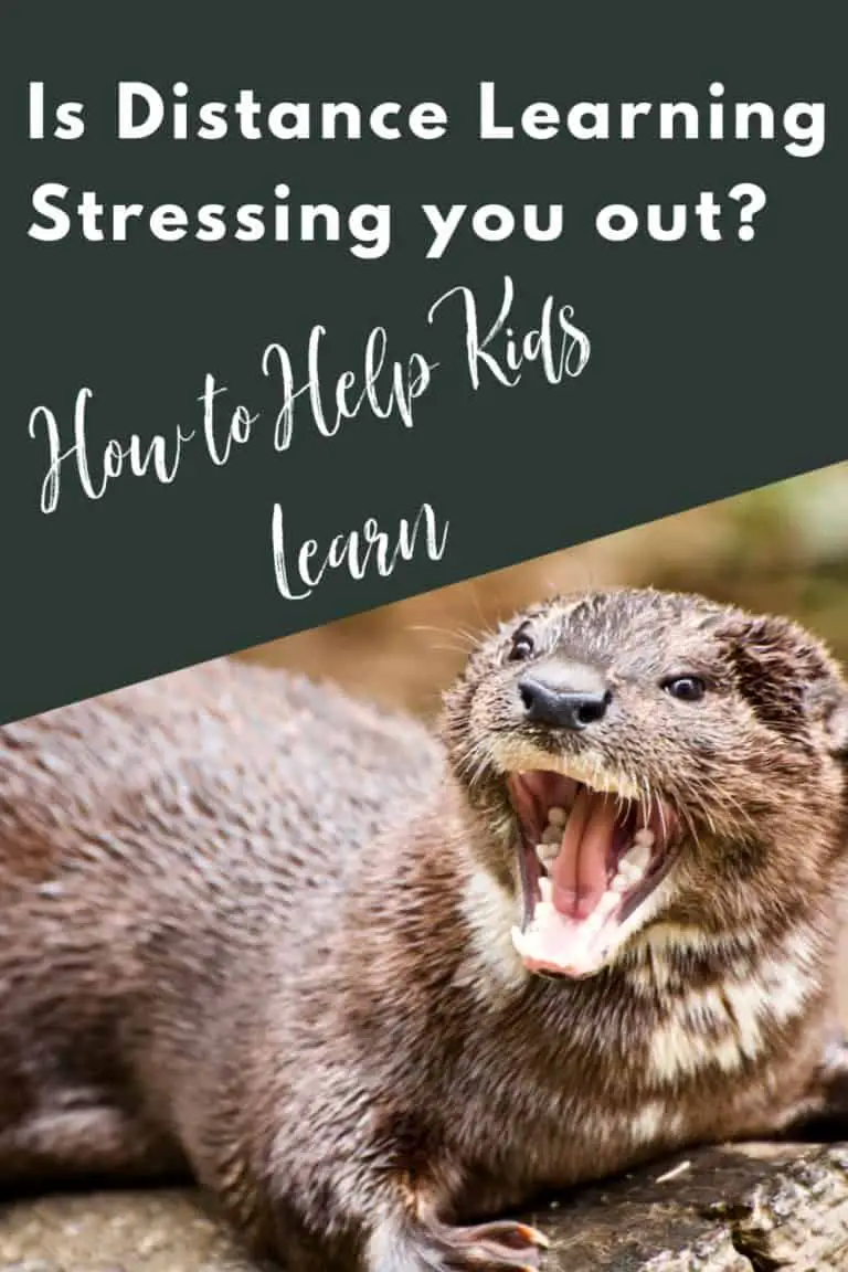 How to Help Kids Learn