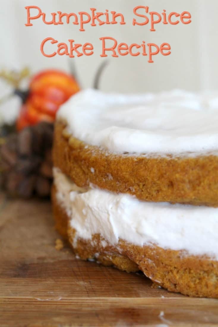 This pumpkin spice cake recipe is the perfect fall dessert for any table! This easy dessert recipe would also make the perfect dessert to bring to Thanksgiving.