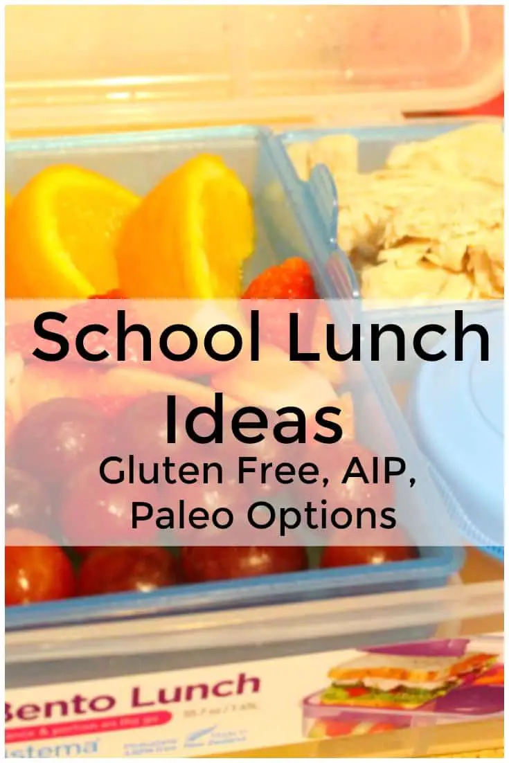 School Lunch Ideas - Gluten free, AIP, Paleo lunch options for kids to take to school or adults to take to work. Tons of great lunch box ideas for kids.