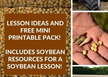 Soybean lesson ideas and resources for a soybean unit study. Includes multiple free printable worksheets and lesson guides.