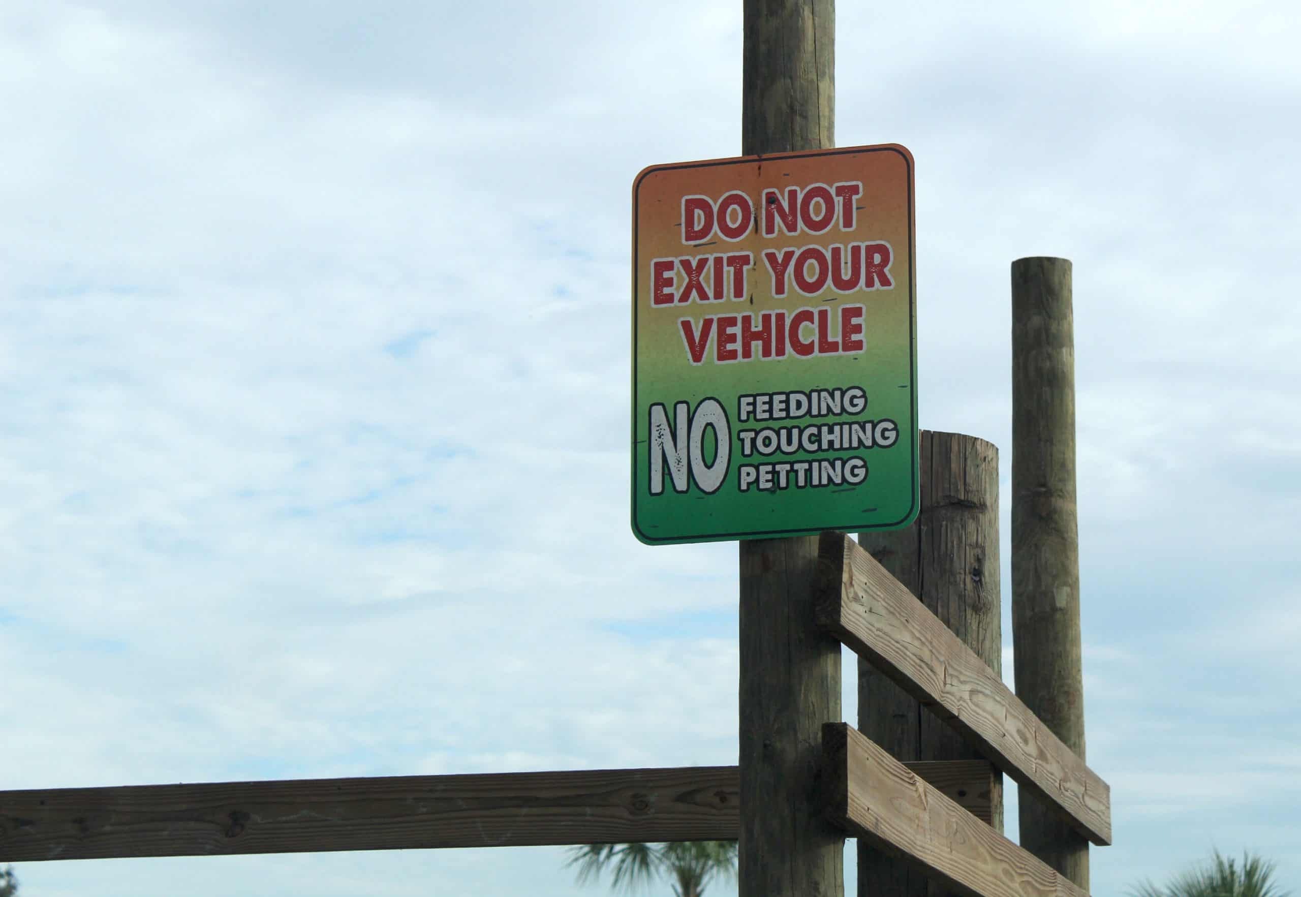 wild florida safari hours